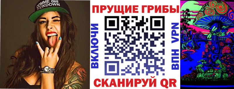 Псилоцибиновые грибы мицелий  Чекалин 