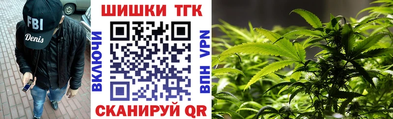 Бошки Шишки THC 21%  купить наркоту  Чекалин 